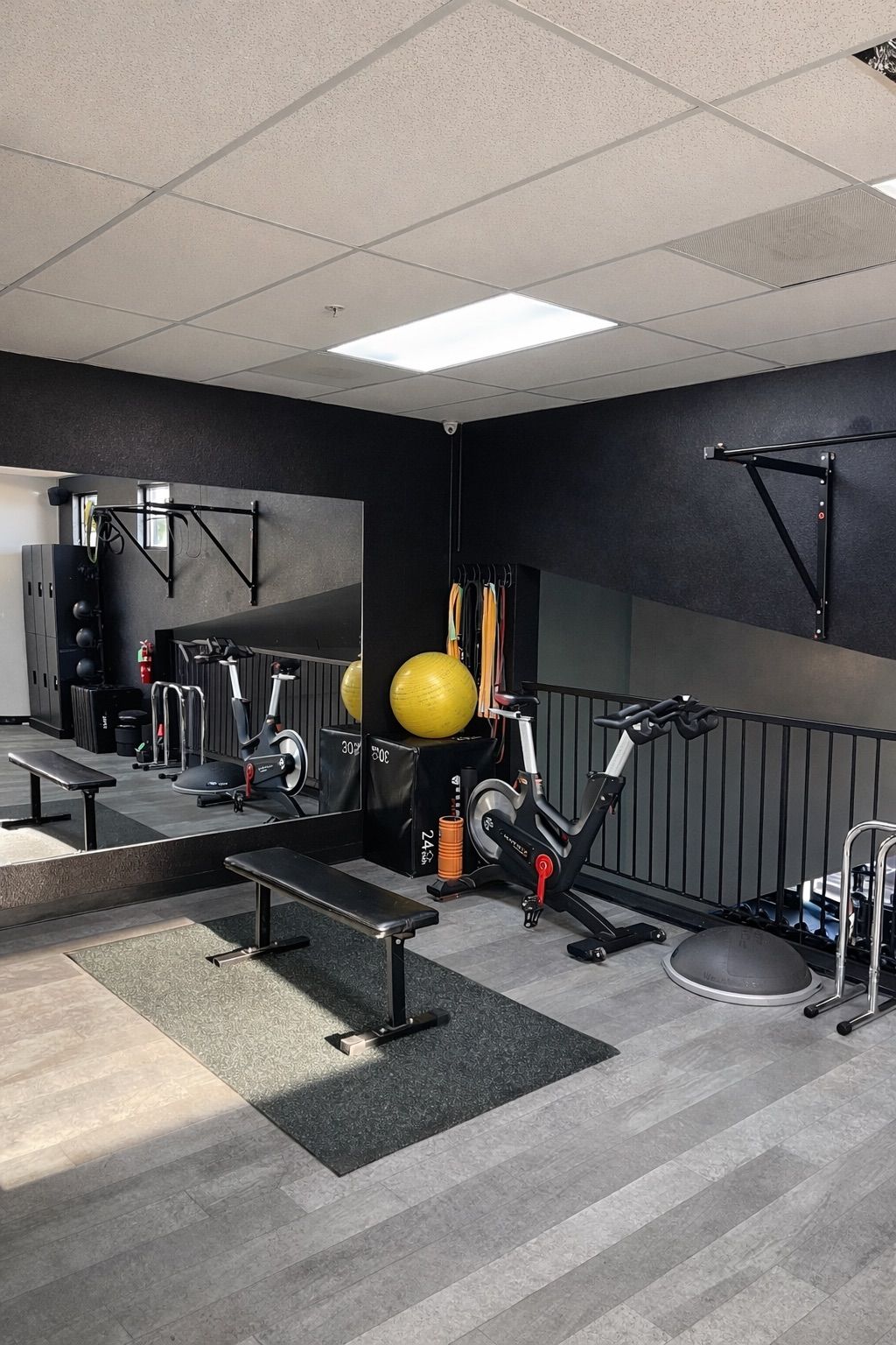 Light-filled training space at Fox Fitness